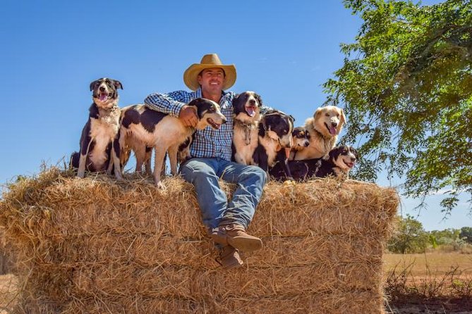 Katherine Outback Experience Show Ticket - Working dogs, goats, and plenty of individual character