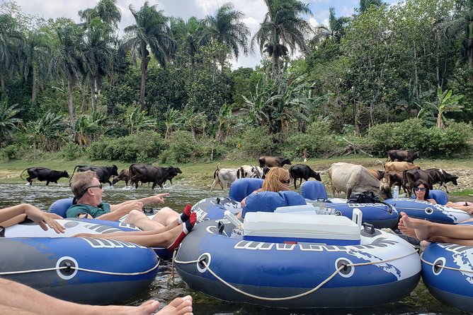 Lazy River Tubing Cabarete, Dominican Republic - Is $77 a fair price?