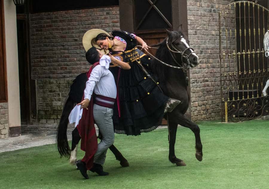 Lima: Magic Water Circuit and Dinner Show Tickets - Who will enjoy this organized evening