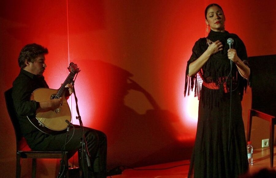 Lisbon: Evening City Tour with Dinner and Live Fado Show - The city tour: squares, bridges, and Lisbon viewpoints