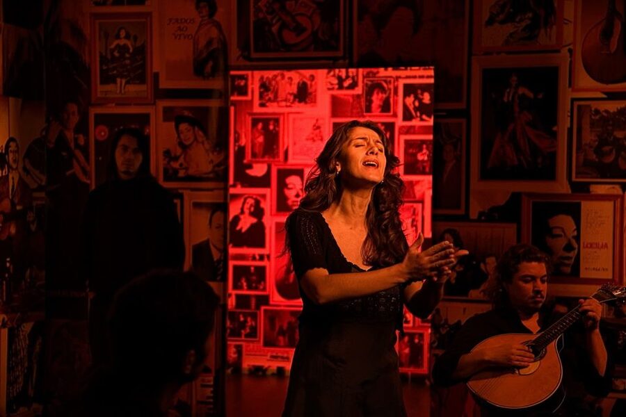 Lisbon: Half-Day Night Group Tour w/ Fado Dinner Show - Who will get the most from this evening?