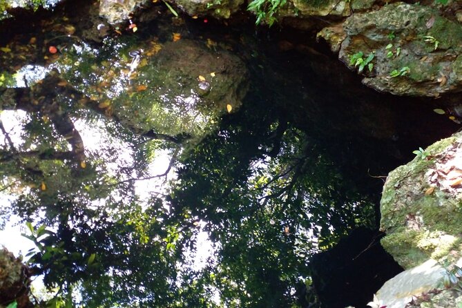 Local Excursion | Cabarete Caves National Park - Is the $70 Price Good Value?