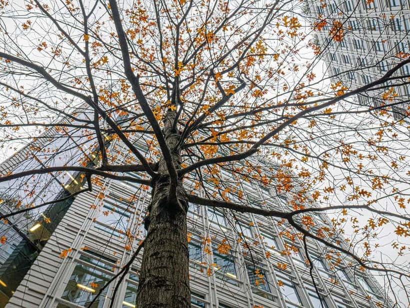 London: West End Photography Walking Tour with Guide - London’s most hated building