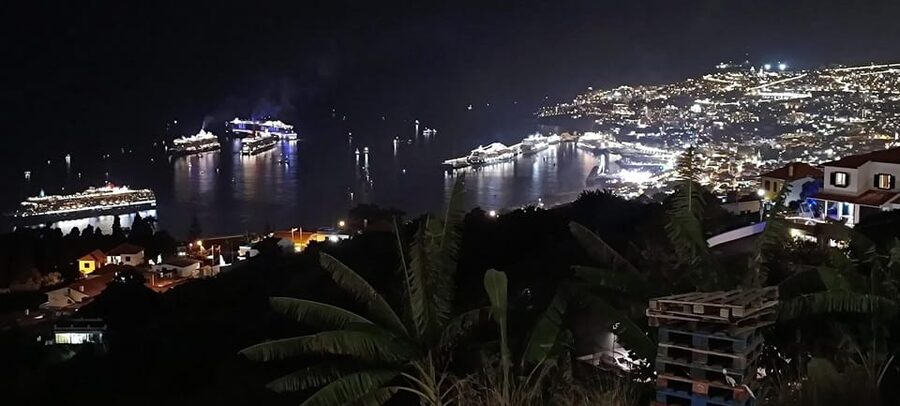 Madeira: Folk Dancing Show and Traditional Local Dinner - Who will enjoy this most
