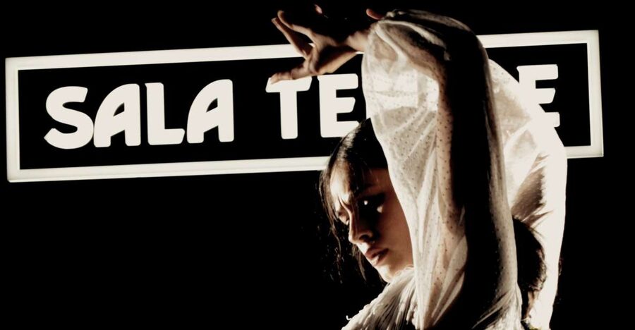 Madrid: Flamenco Show at Tablao Sala Temple with Drink - What happens during the one-hour show
