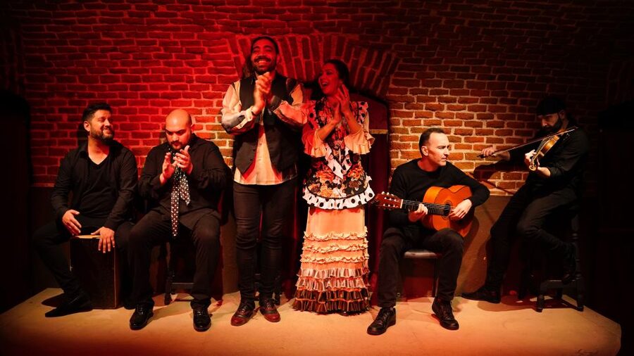 Madrid: Flamenco Show Entry Ticket with Drink & Artist Talk - Who should book this experience