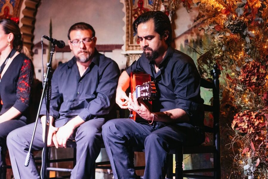 Madrid: Live Flamenco Show with Food and Drinks Options - What the strongest praise tells you