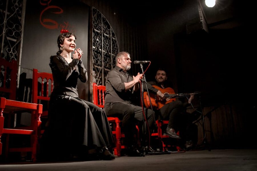 Madrid: Local Flamenco Show at El Cortijo - The music: guitar, voice, and rhythm