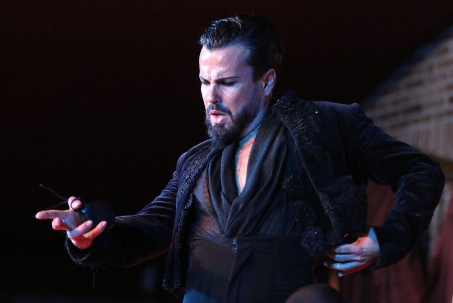 Madrid: Los Porches Flamenco Show with Tapas and Wine Ticket - A useful evening plan in Madrid
