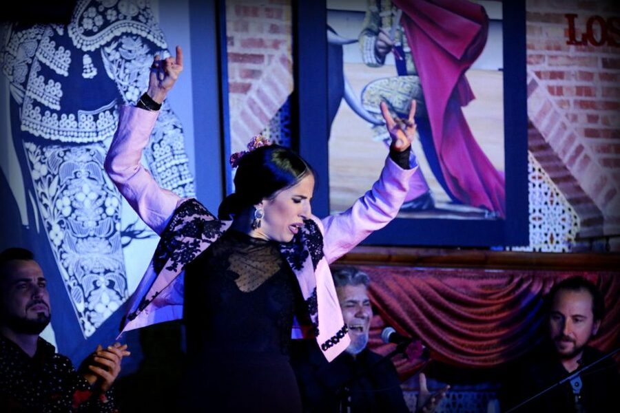 Madrid: Los Porches Flamenco Show with Tapas and Wine Ticket - Arriving at the Los Porches venue