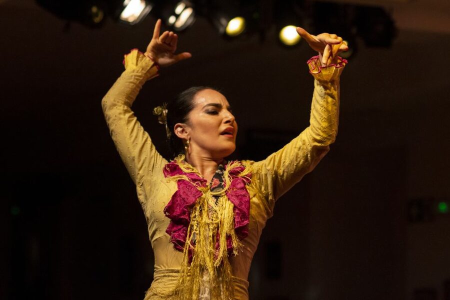 Madrid: Tablao de La Villa Flamenco Show - A close-up flamenco show in central Madrid