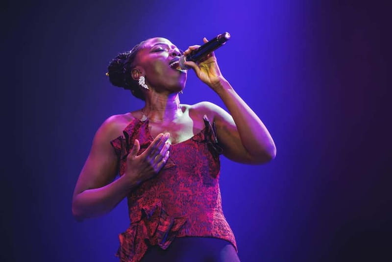 Madrid: WAH Show - Music, Dining & Party Experience - The main show and its wide musical range