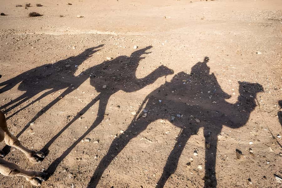 Magical Agafay : Camel Ride & Dinner show - Practical points before you book