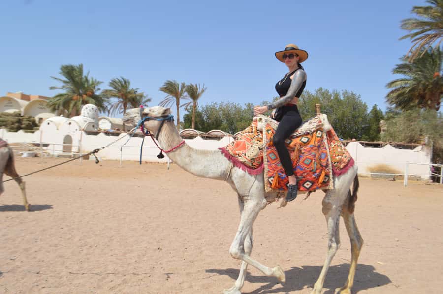 Makadi Bay: ATV, Sea View, Camel, Stargazing, Dinner & Show - The five-minute camel ride