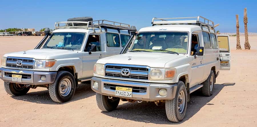 Makadi Bay: Mega Tour Jeep, ATV, Buggy, Camel, Dinner & Show - Lunch, drinks, and the evening show