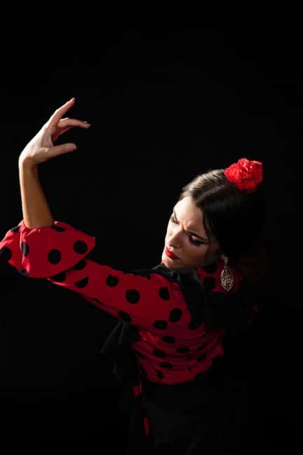 Malaga: Authentic Flamenco Dinner Show at Restaurant VinoMio - Key points to know before booking
