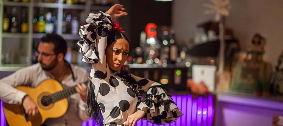 Malaga: Authentic Flamenco Dinner Show at Restaurant VinoMio - Why the close seating matters