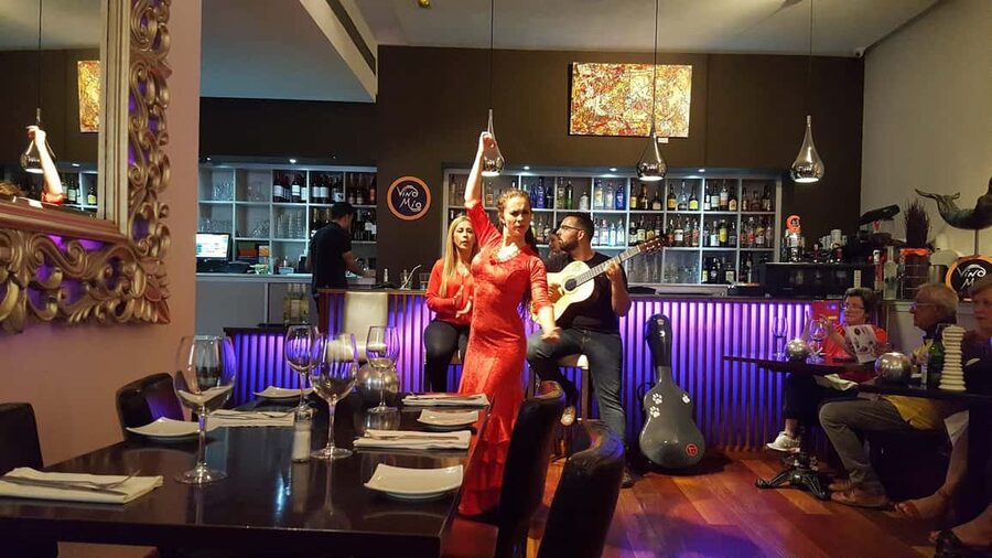 Malaga: Authentic Flamenco Dinner Show at Restaurant VinoMio - Who should book this Malaga experience?