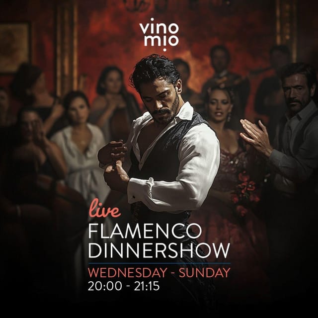 Malaga: Authentic Flamenco Dinner Show at Restaurant VinoMio - Arriving in Malaga and finding the restaurant