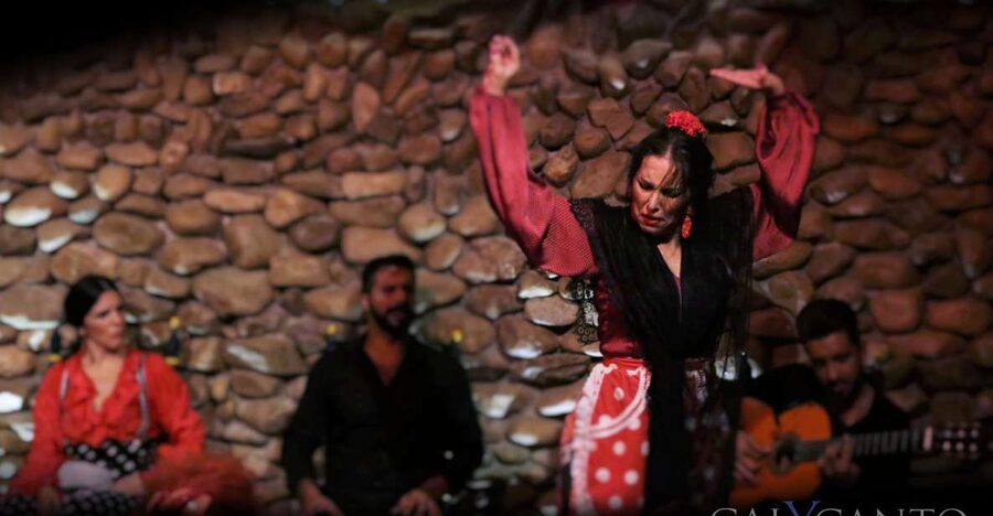 Malaga: Authentic Flamenco Show at El Gallo Ronco - Key points to know before you book