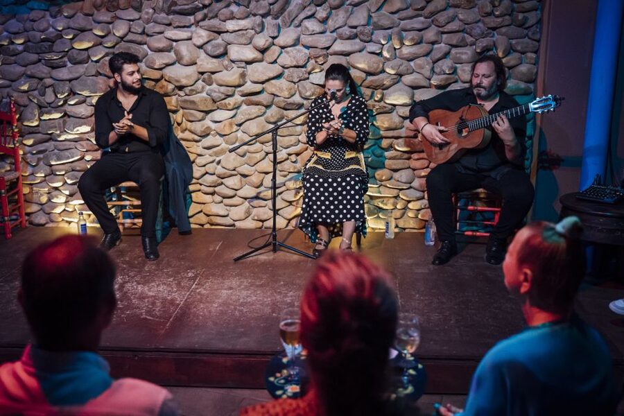 Malaga: Authentic Flamenco Show at El Gallo Ronco - Who will enjoy this flamenco show most?