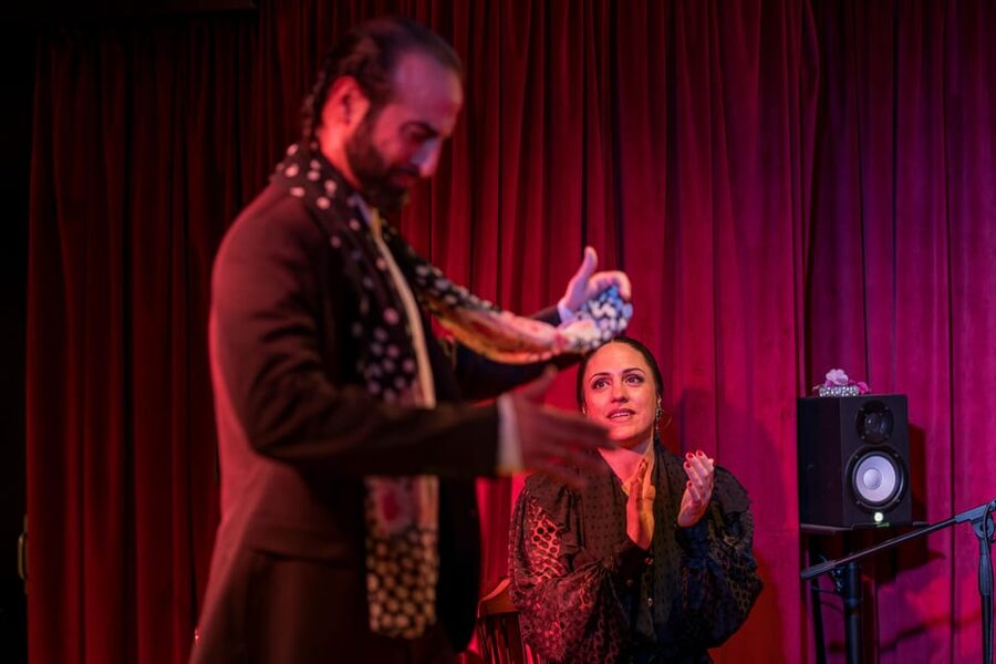 Málaga: Flamenco Course 4pm + 1-Hour Show, 3 Tapas and Drink - Who should book it