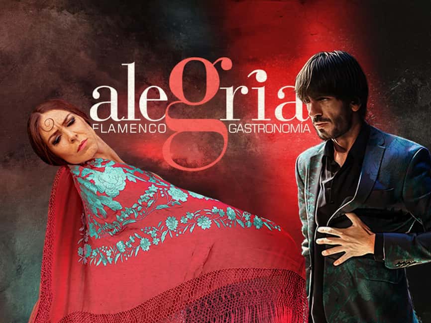 Málaga: Live Flamenco Show at Flamenco Alegría - What the Málaga flamenco evening is really like