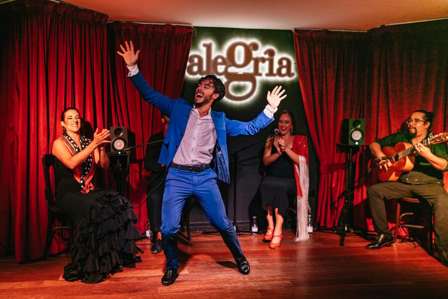 Málaga: Live Flamenco Show at Flamenco Alegría - Tapas, wine, and the timing of your order