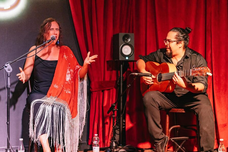 Málaga: Live Flamenco Show at Flamenco Alegría - Who will enjoy Flamenco Alegría most