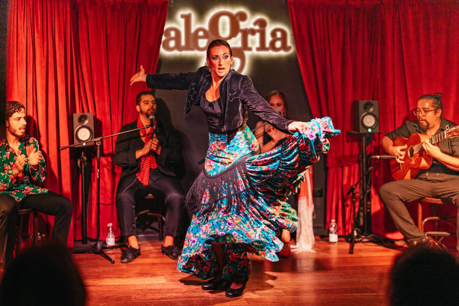 Málaga: Live Flamenco Show at Flamenco Alegría - Is $29 good value?