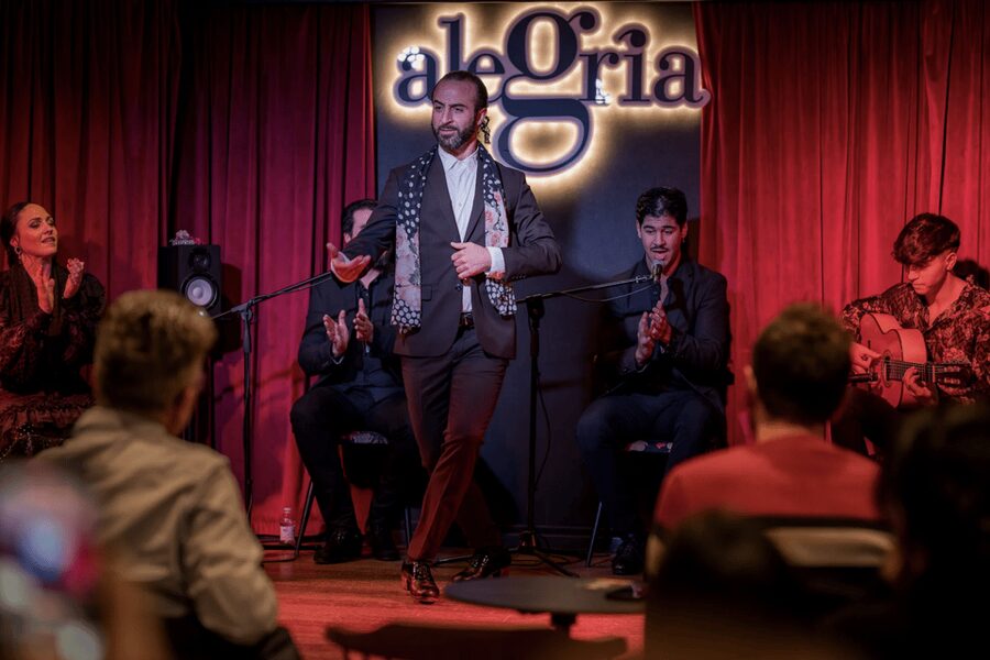 Málaga: Live Flamenco Show at Flamenco Alegría - The performers carry the evening