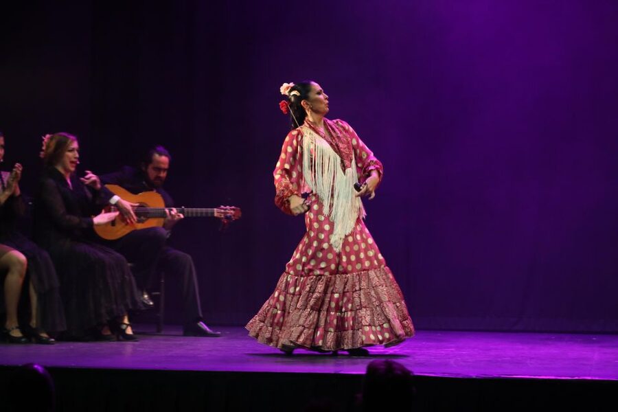 Malaga: Teatro Flamenco Malaga Live Flamenco Show - What the Teatro Flamenco Malaga show feels like