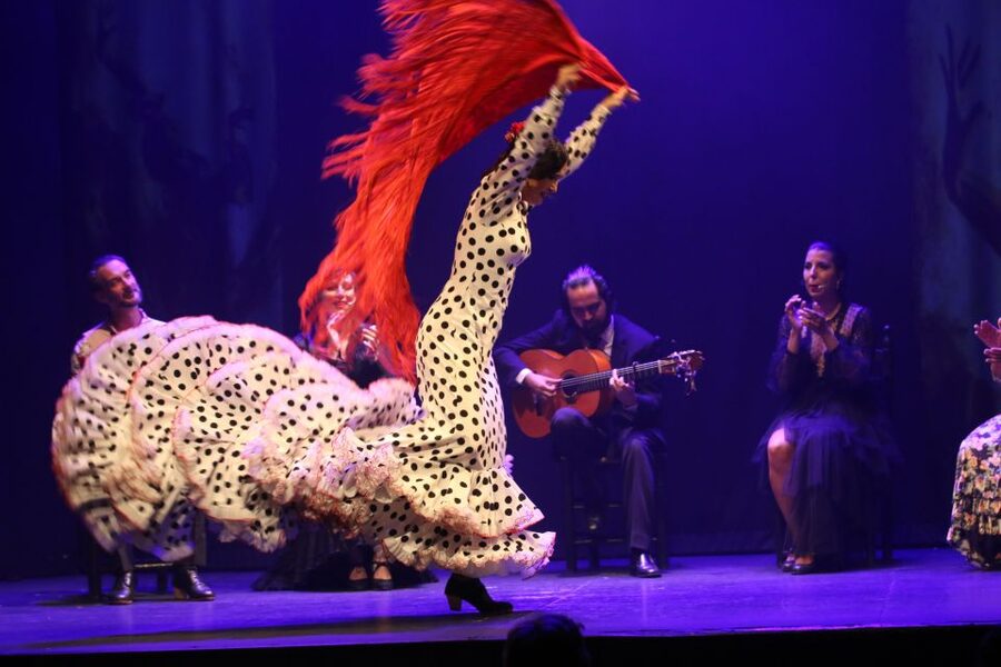 Malaga: Teatro Flamenco Malaga Live Flamenco Show - The dancers, singers, and guitarist share the stage