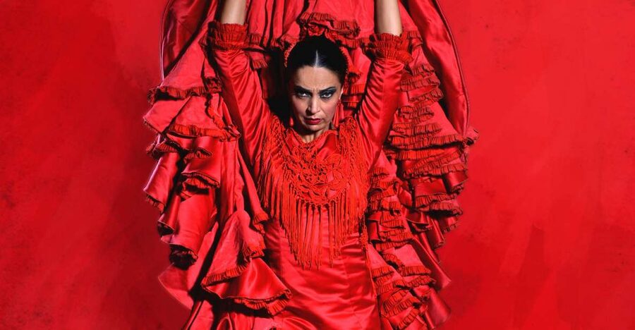 Malaga: Teatro Flamenco Malaga Live Flamenco Show - A simple one-hour plan in central Malaga