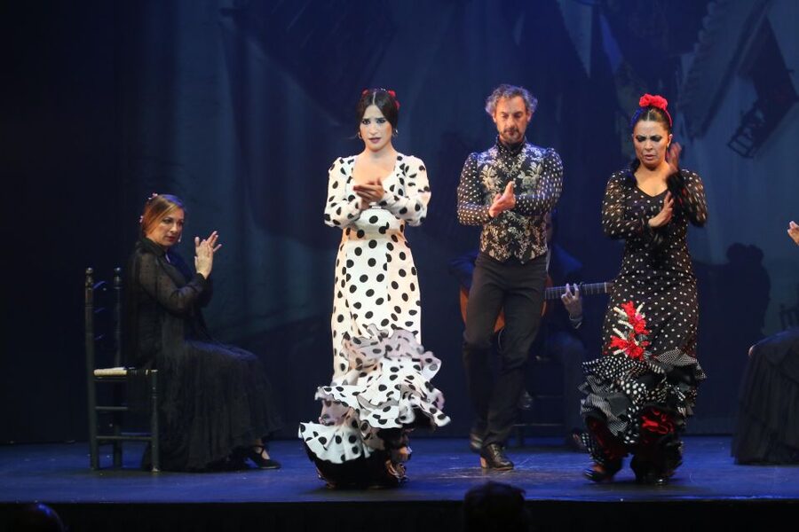 Malaga: Teatro Flamenco Malaga Live Flamenco Show - Small details that can make the evening better