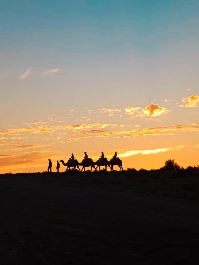 Marrakech: Agafay Camel Ride & Dinner with Fire Show Tour - A 20-minute camel ride at sunset