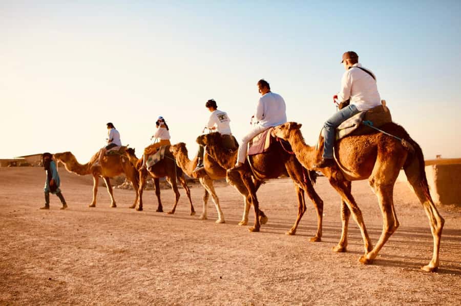 Marrakech: Agafay Camel Ride Sunset and Dinner with Show - Key points to know before booking