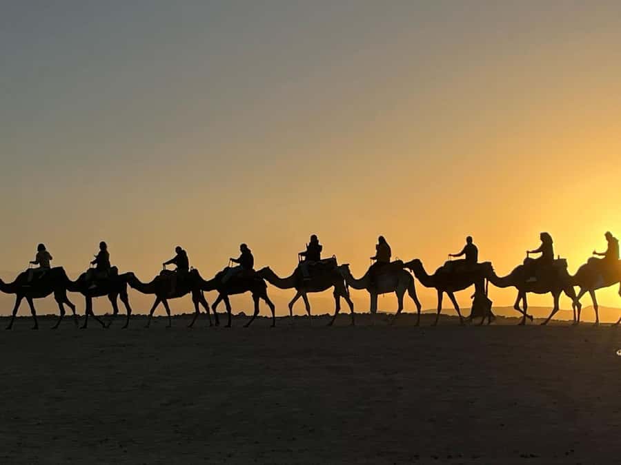 Marrakech: Agafay Camel Ride Sunset and Dinner with Show - Leaving Marrakech for the Agafay Desert
