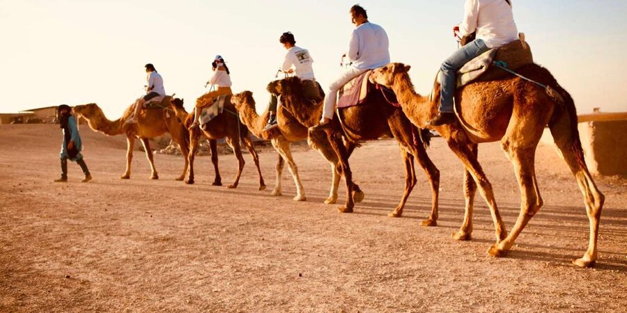 Marrakech: Agafay Camel Ride Sunset and Dinner with Show - What the $41 price really covers