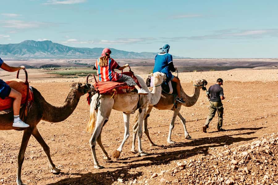 Marrakech: Agafay Desert Activities with Dinner & Shows - Moroccan dinner under the stars
