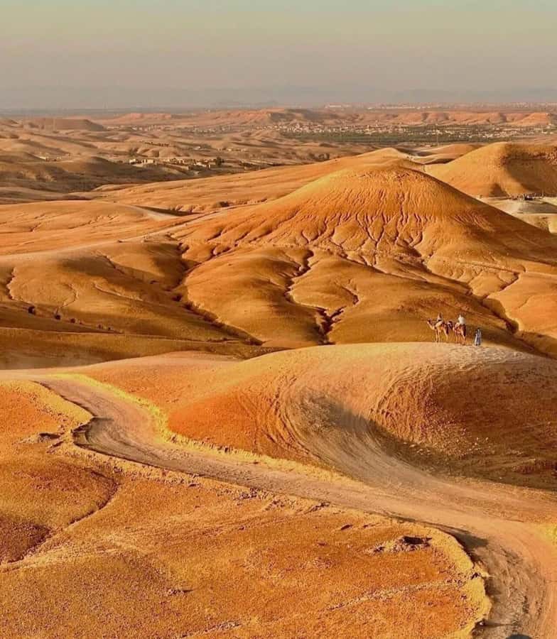 Marrakech: Agafay Desert Camel, Quad Bike & Dinner Show - A 15-minute camel ride at sunset
