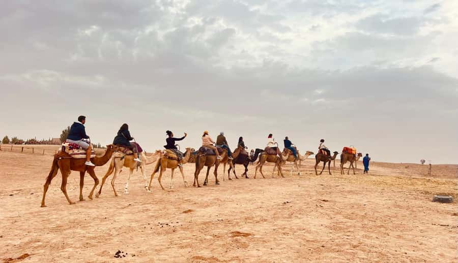 Marrakech: Agafay Desert Camel Ride, Dinner, Fire Show - Guides can shape the whole experience