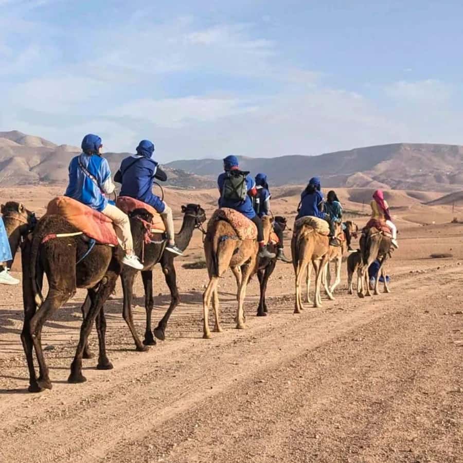 Marrakech: Agafay Desert Camel Ride & Quad with Dinner Show - Is $32 a fair price?