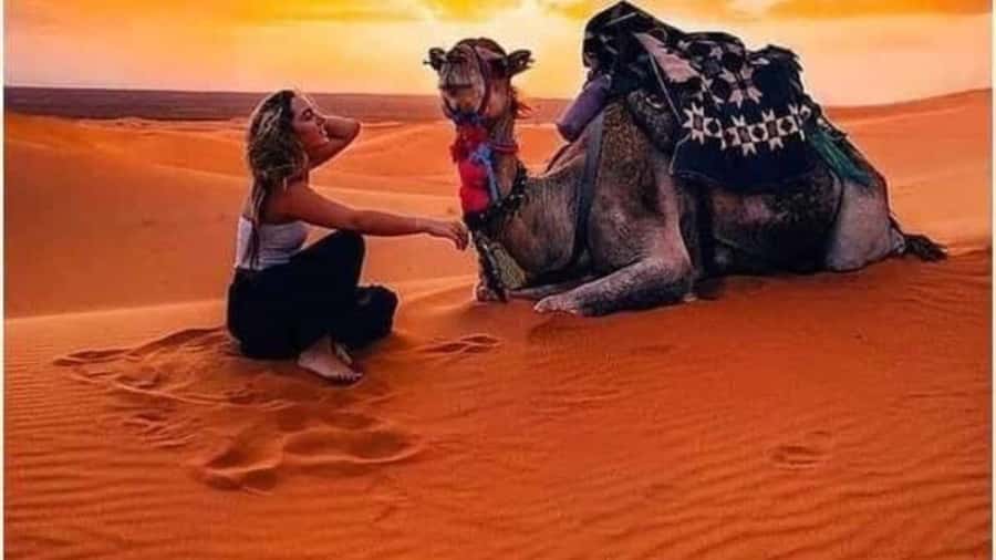 Marrakech Agafay desert: Camel Ride, Sunset, Dinner show - Argan oil, Moroccan tea, and a pause before dinner