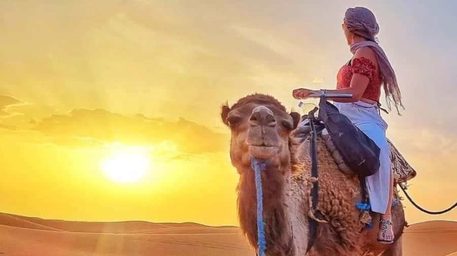 Marrakech Agafay desert: Camel Ride, Sunset, Dinner show - Dinner under the stars