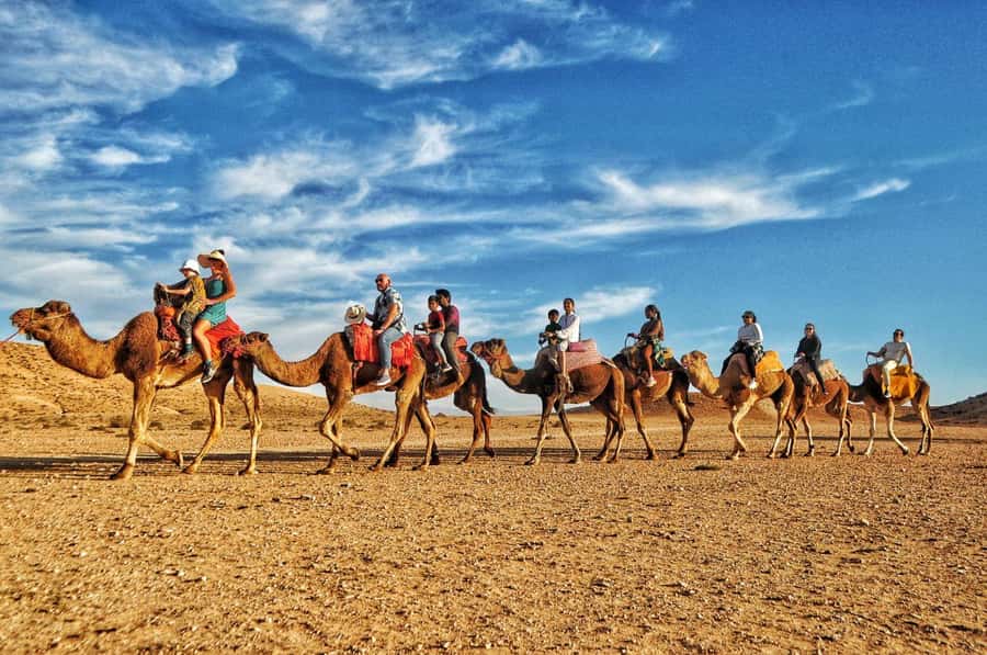 Marrakech Agafay desert: Camel Ride, Sunset, Dinner show - Berber music and the fire show