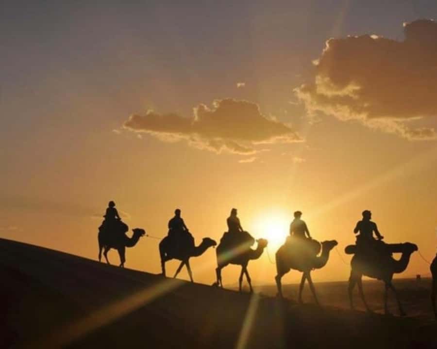 Marrakech: Agafay Desert Camel Rides, Dinner and Fire Show - Who should book this Agafay evening?