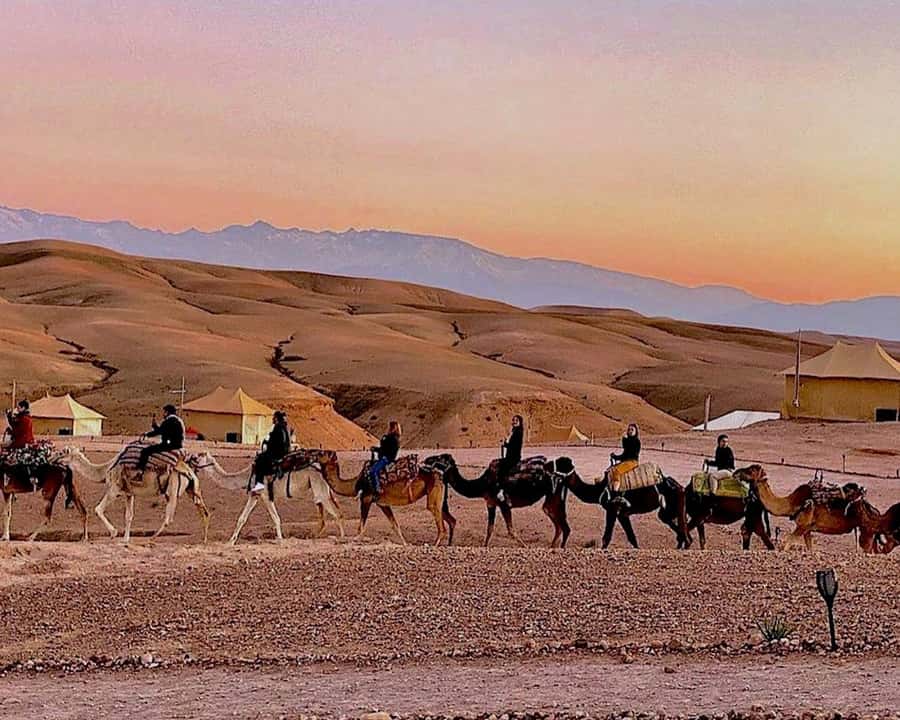Marrakech: Agafay Desert Camel Rides, Dinner and Fire Show - Riding a camel as the sun drops