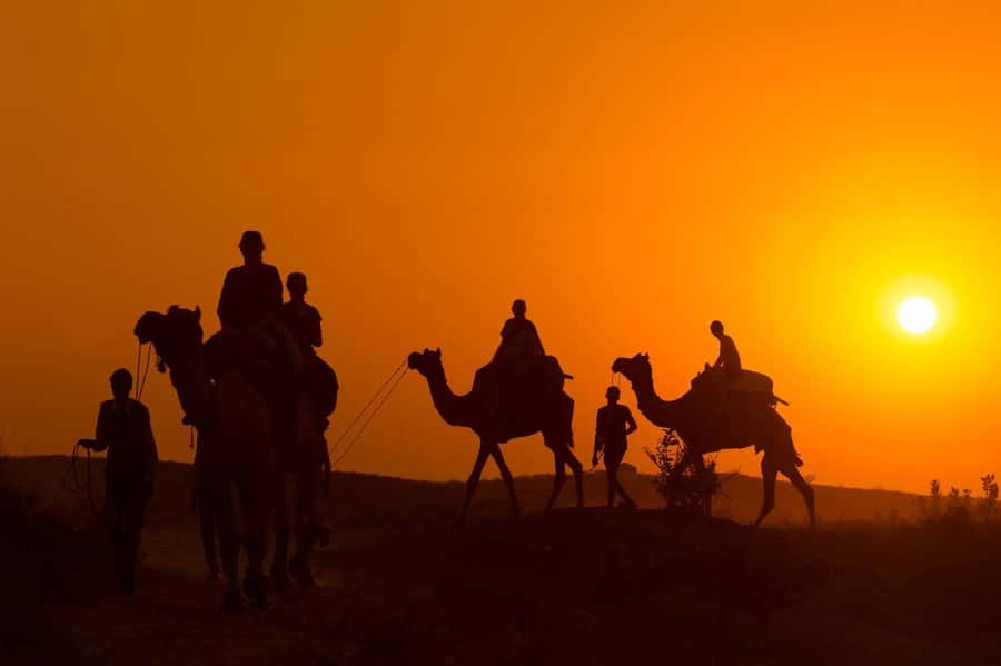 Marrakech: Agafay Desert Dinner, Camel Ride, and Music Show - Mint tea, pastries, and time to look around