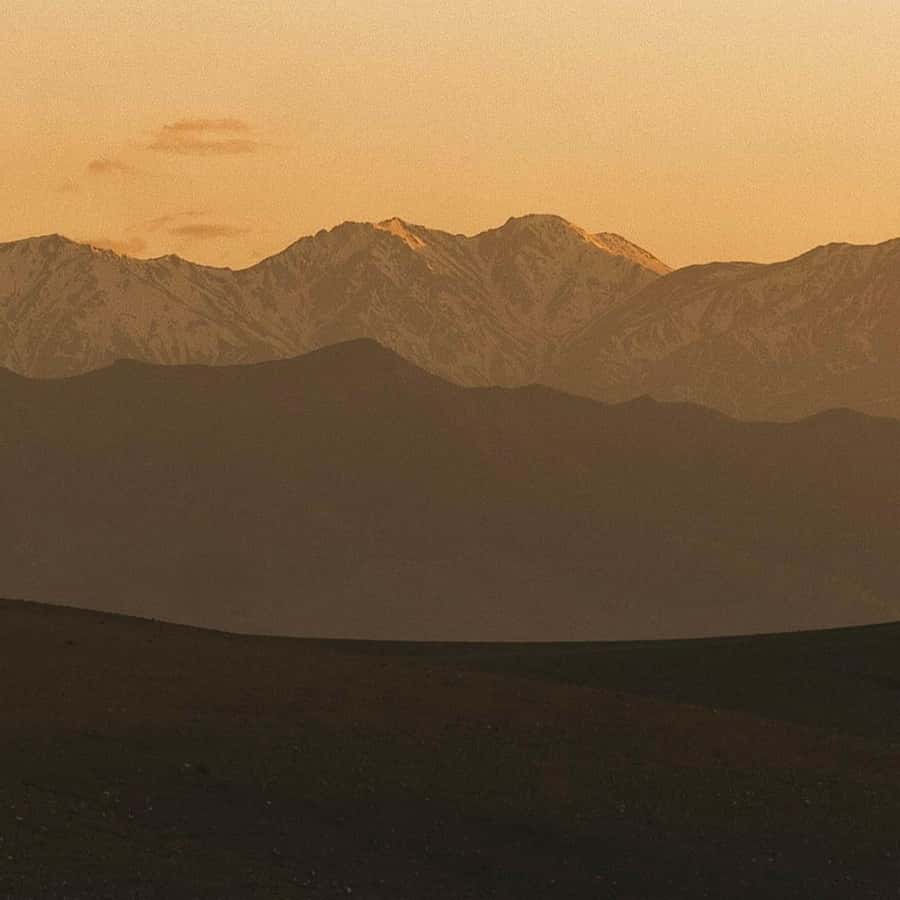 Marrakech: Agafay Desert Dinner, Camel Ride, & Show - Who will enjoy this evening most?